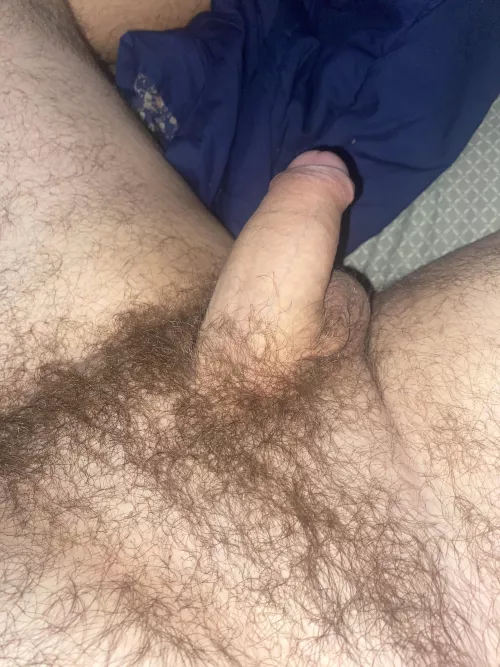 Cal(m)Ed down a bit after a fun weekend cougar date by CommentEducational76