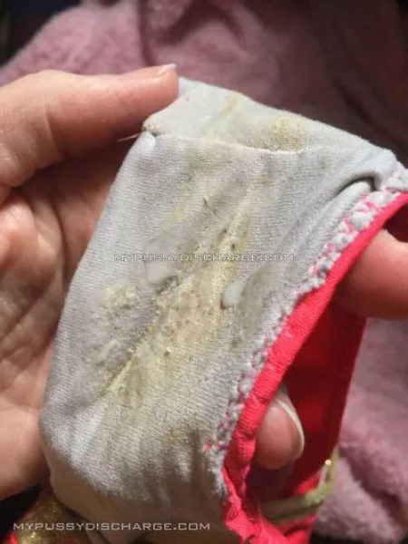 came in these 2 times today i love showing you all my panties makes me rly horny by Apprehensive_Fun_140