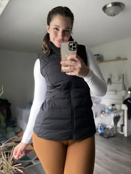 Camel-colored by shibahuskymom