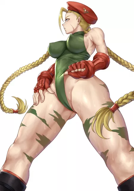 Cammy Leotard Adjustment (Nyatokanyaru) [Street Fighter] by sequence_string
