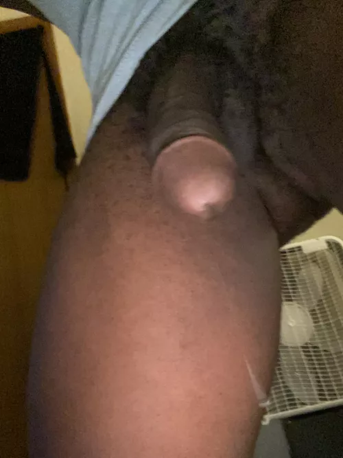 Can count on this sub every time! by floridafreak89