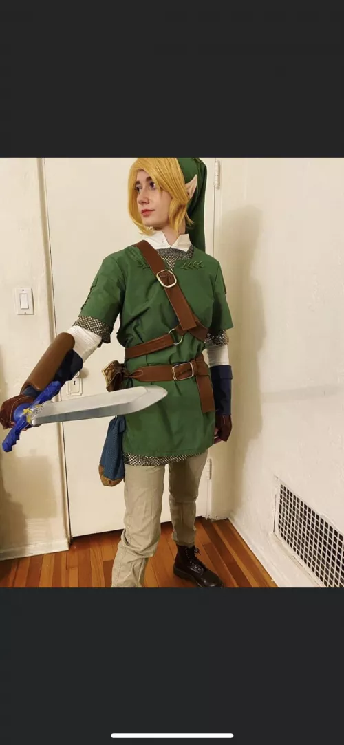 Can I be your Hero of Time? by twisterlikespie