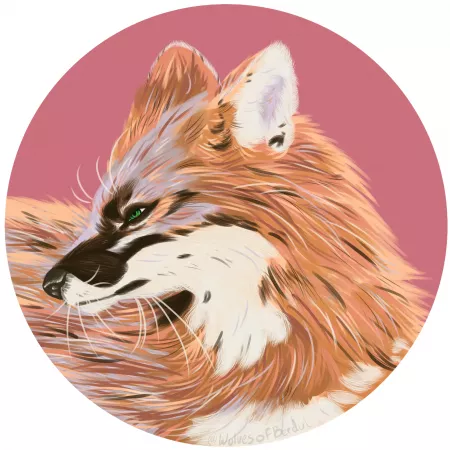 Can I get opinions on this? (Please do not repost or use this image) by WolvesOfBerdul