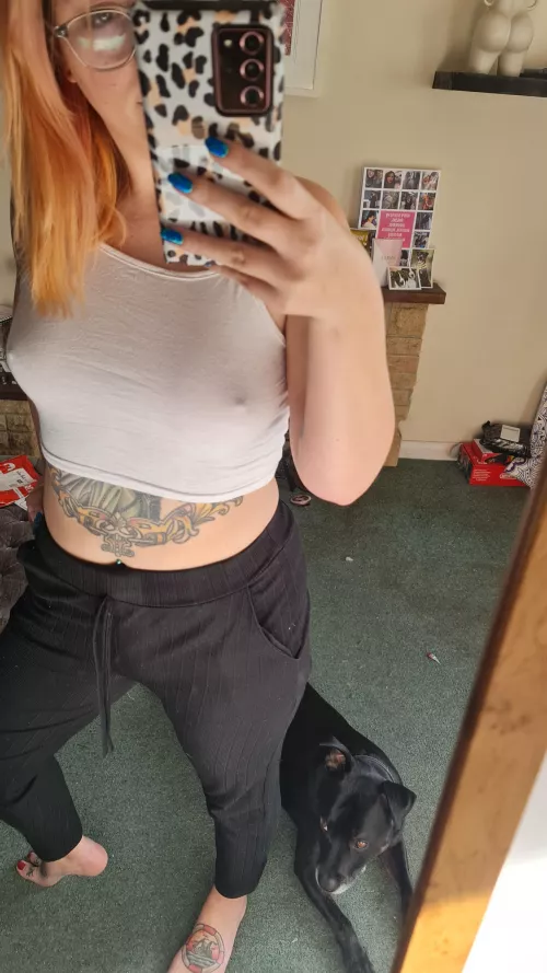 Can I pet that dog? by PeeachyQueen