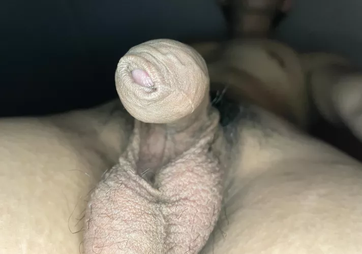 can i put my balls in your jaws? by nastylurker