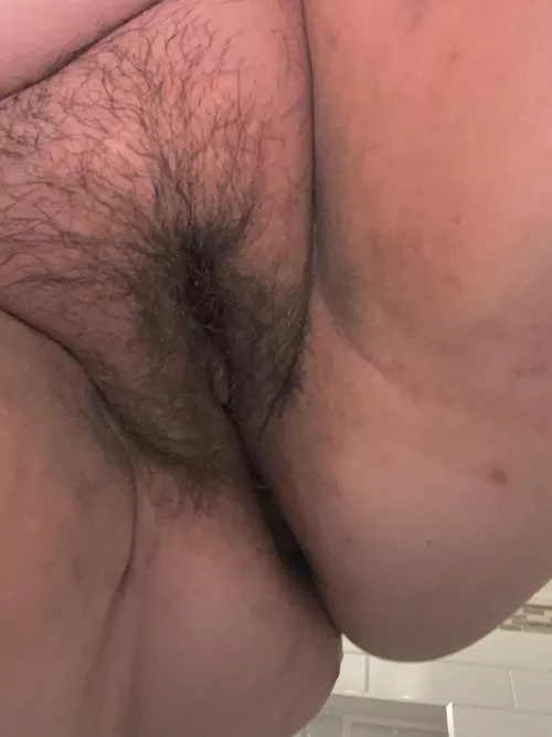 Can I sit on your face? by Helpful_Thought_9486