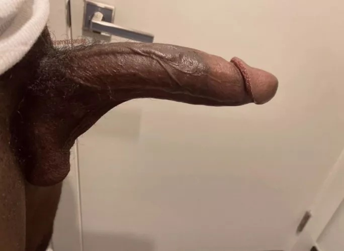 can it fit? by wynterhascum