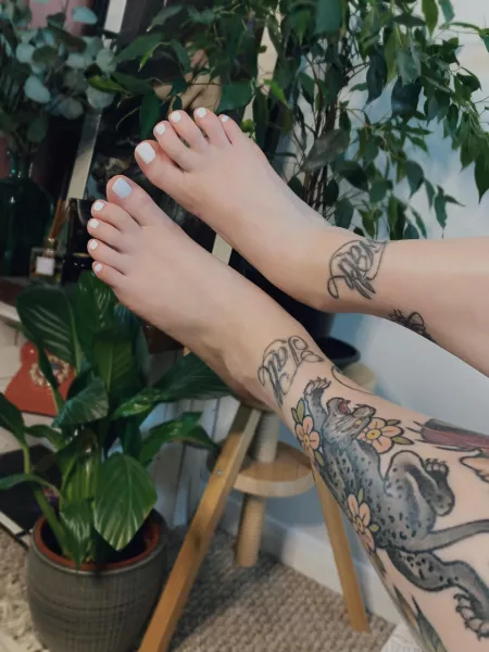 Can someone massage my pretty, white toes please 🥺🤍 by Faefeet