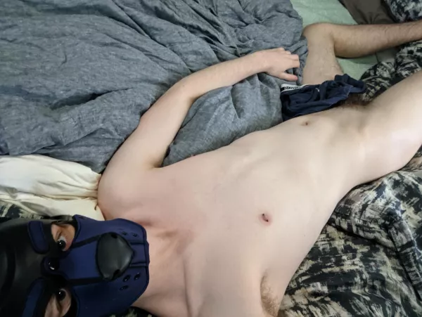 Can someone play with me? 🥺 by Harbingers19