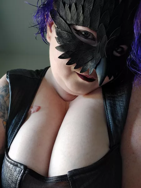 Can this little bird sit in your window? by teecikitty