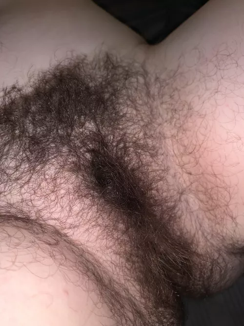 Can you handle my bush 😏 by kayycakes