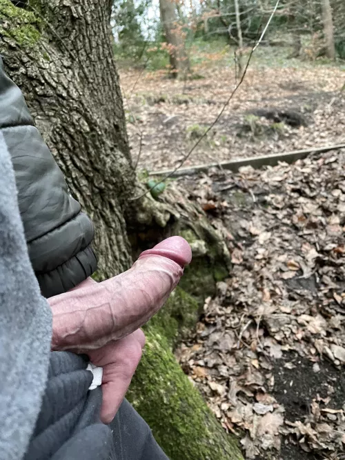 Can you see the wood for the trees? by bingobobhandjob