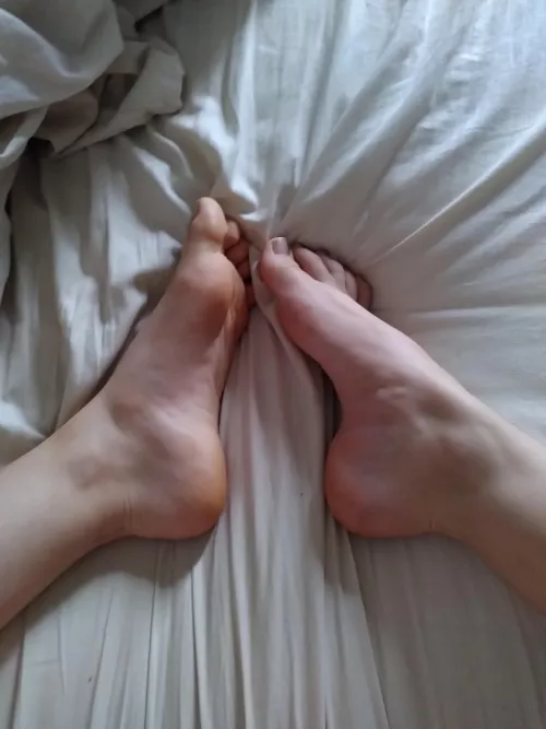 Can you tell that they are sleepy? by throwxthrowxthrow