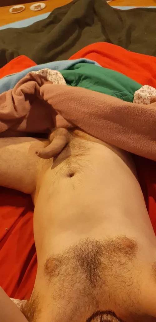 Canadian Morning Wood by gpsax