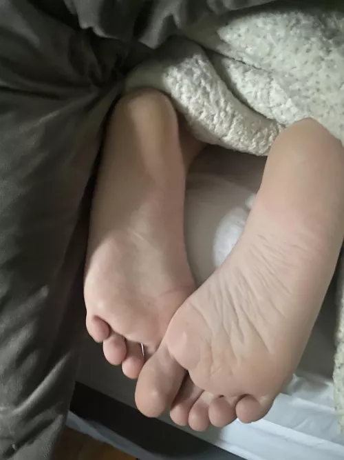 Can’t beat it by Comfortable-Dot6593