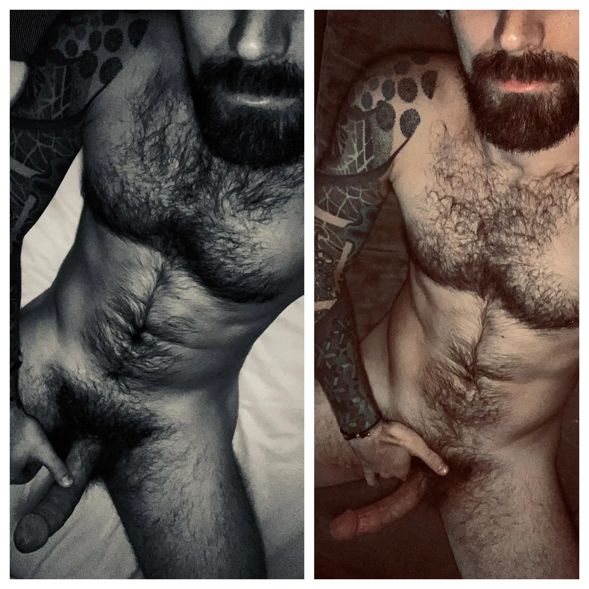 Can’t decide which photo I like more. Help? posted by [deleted]