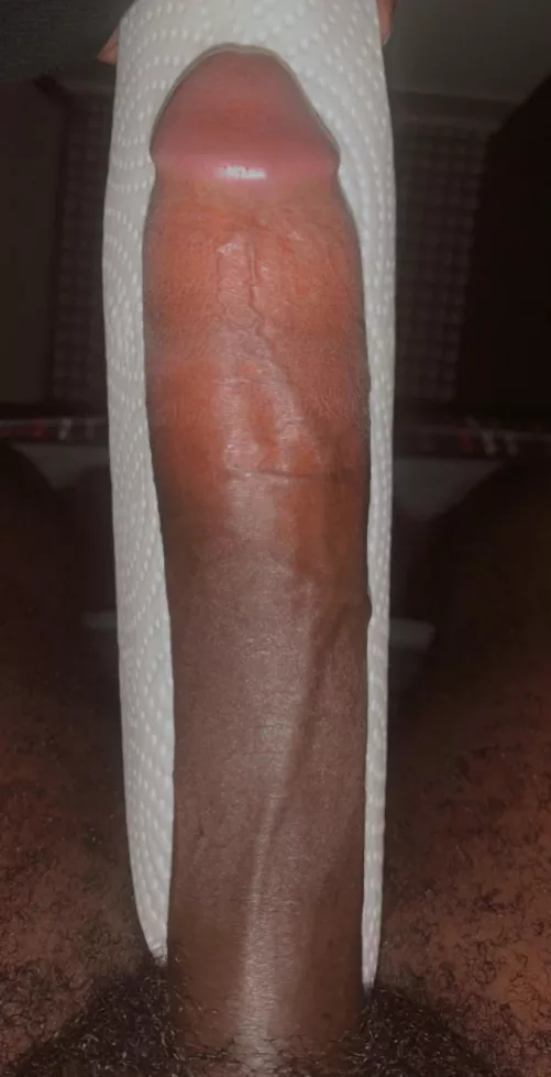 Can’t do the TP challenge so I decided to use a paper towel roll instead 😅 by fabledsabyl