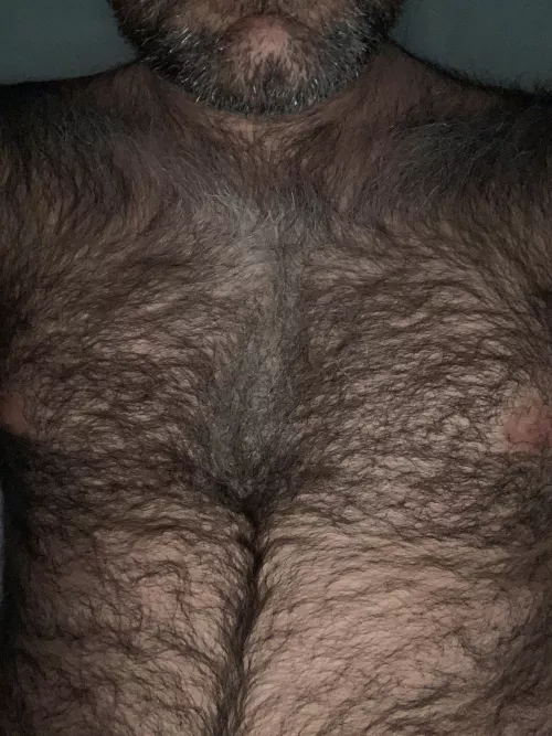 Can’t seem to sleep tonight by funaround