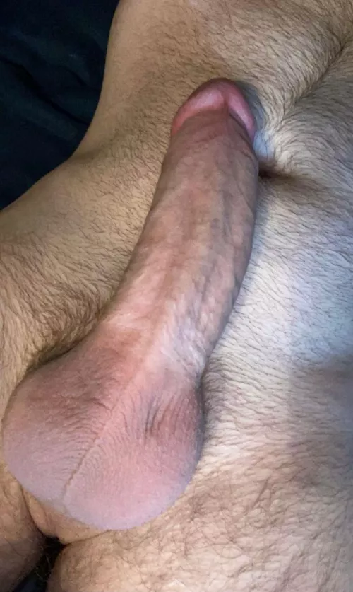 Can’t sleep. Have a dick pic. by JohnOatesKissedMyDad