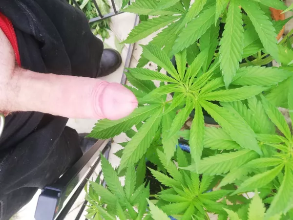 Cant wait until these girls are ready to smoke... by MikeEhh