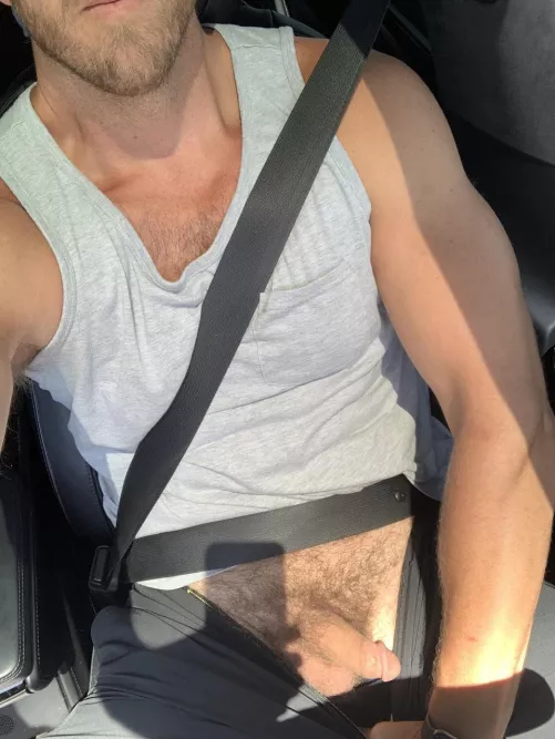 Car jacking anyone? by Tiny_Lunch_9887