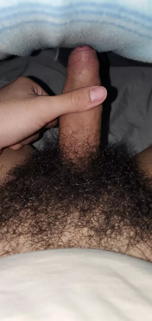 Care for some sausage this morning by Humble_Tiger_1519