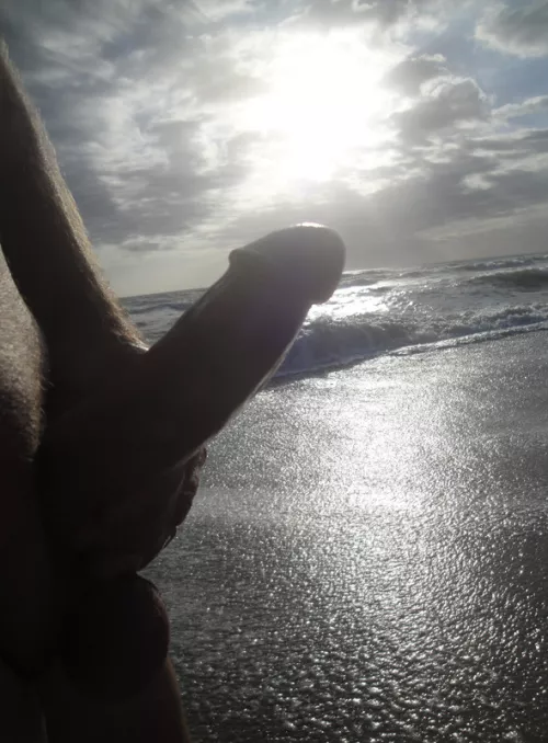 Care to Join for Some Sun and Fun? by tim999919999