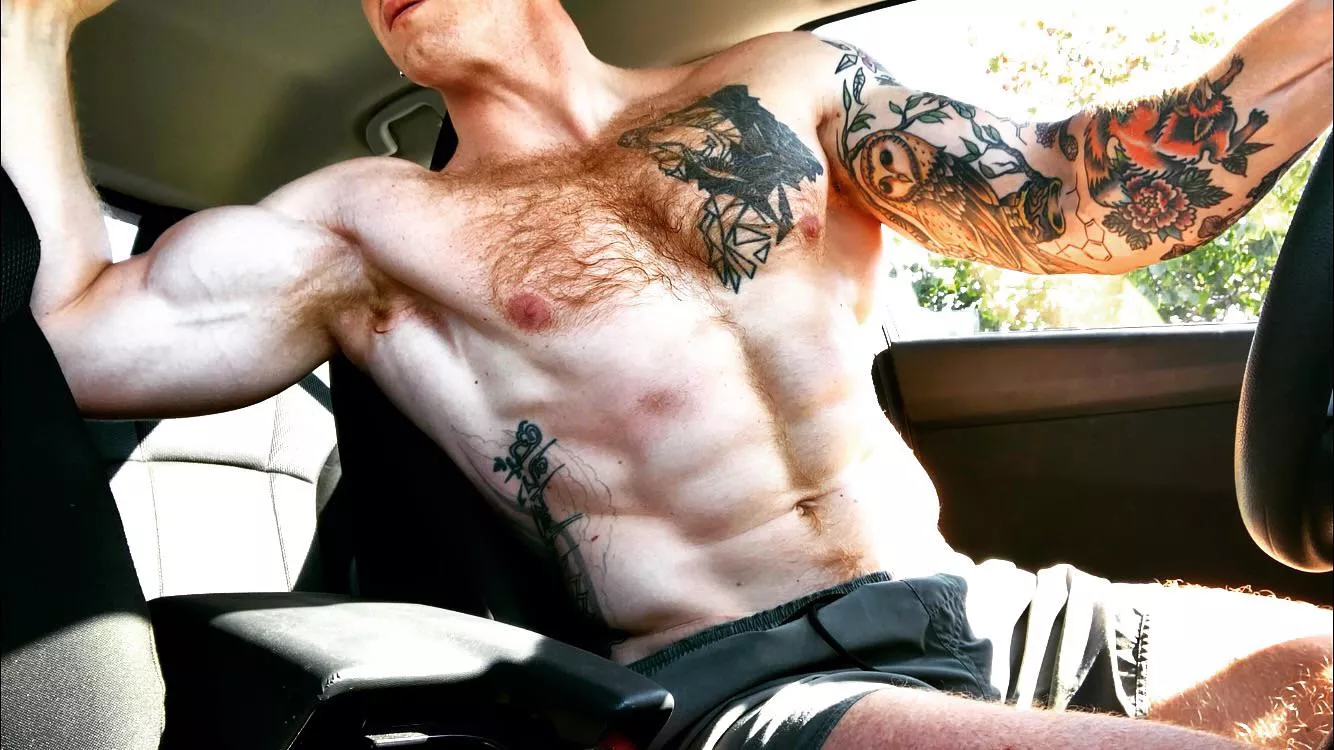 Careful backing up, I’m right behind you posted by LevLieben