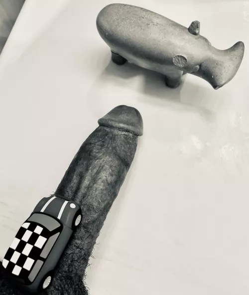 Careful! Rhino crossing on safari by Spitonit22