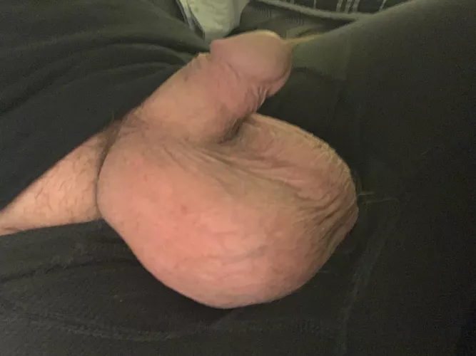 Caress them? by AKAChewy