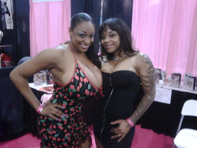 Carmen Hayes vs Kitten by H-Priapus