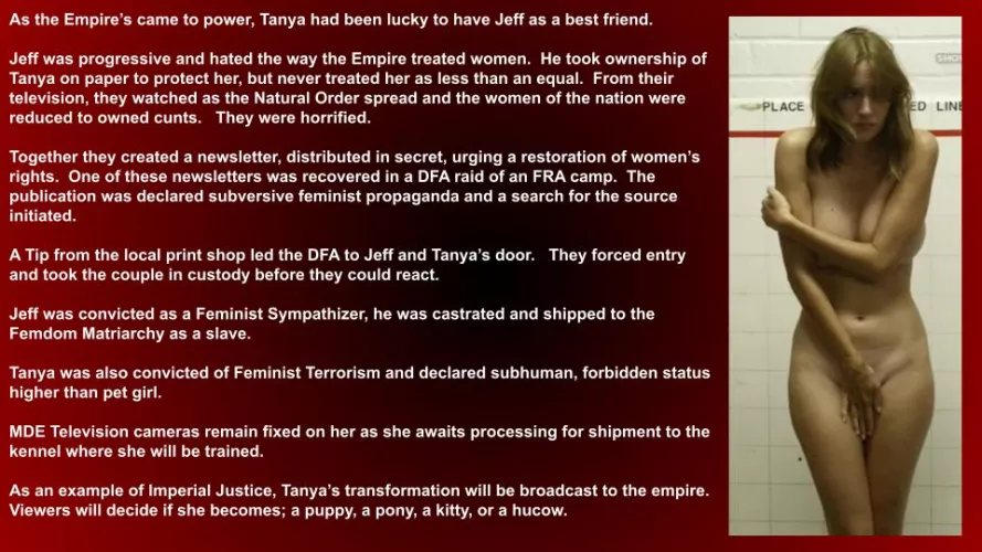 Cast your vote in the comments!