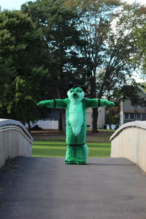 Cat blocks the path! What do you do? by Soren-Sky