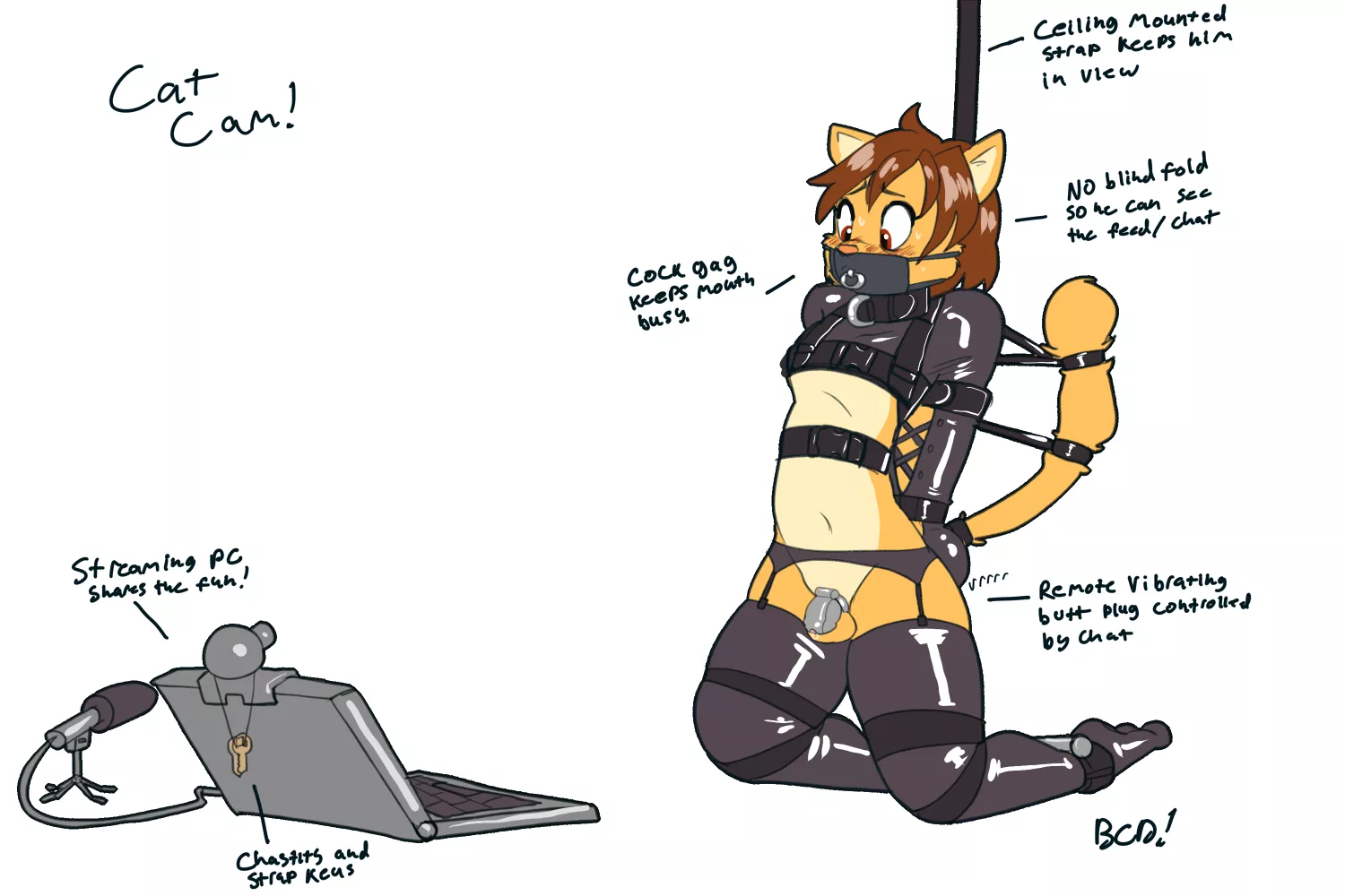 Cat Cam! [M] (Bluecoffeedog) posted by Sabertooth767