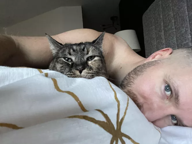 Cat cuddles on this Christmas Eve morning. 🎄 by mwolson_