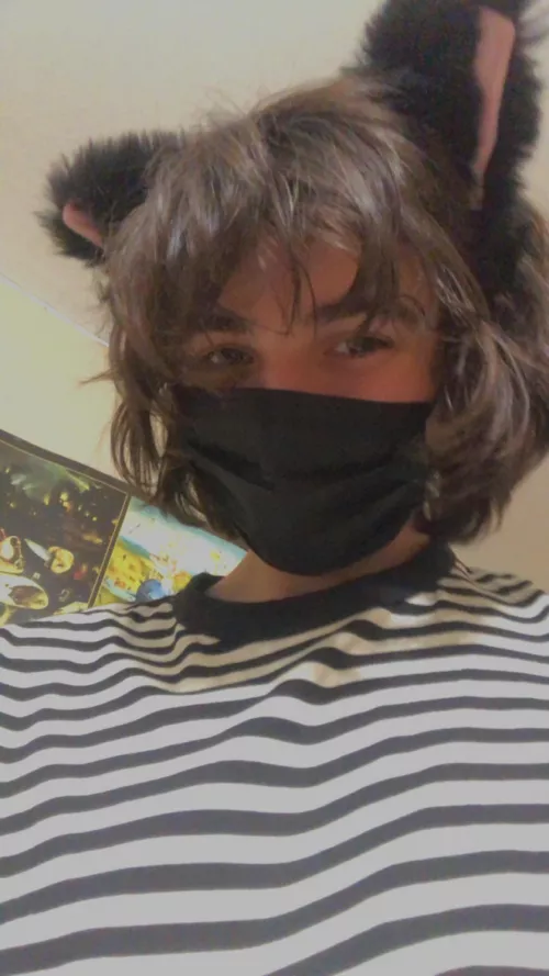 Cat ears and stripes anyone? by gaeboibish