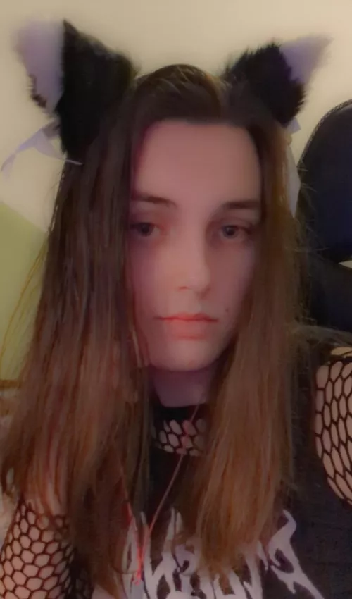 Cat Ears ✓ Fishnets ✓ Crop Top ✓ by ToxEvo