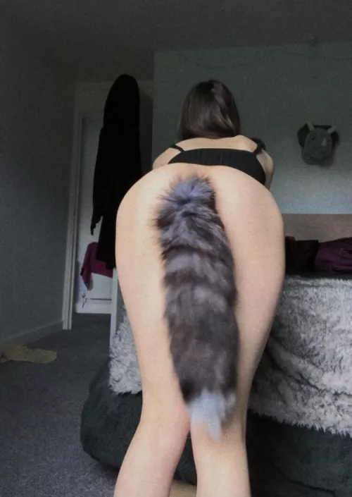 Cat girls come to ruin your life by goddessoffxck