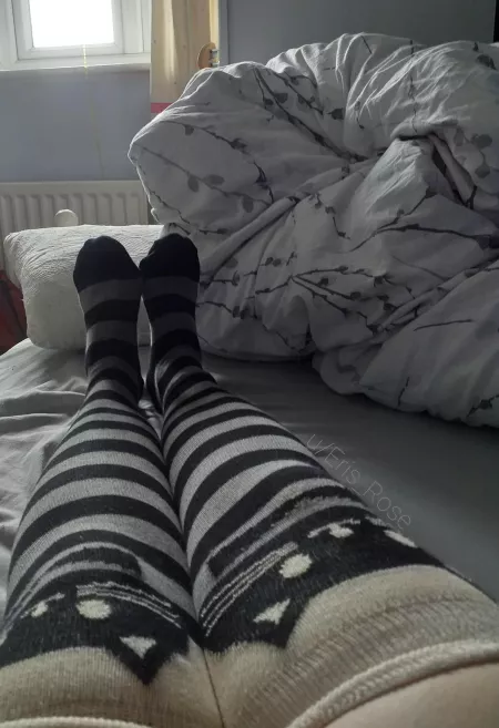 Cat thigh highs ❤ by Eris_Rose