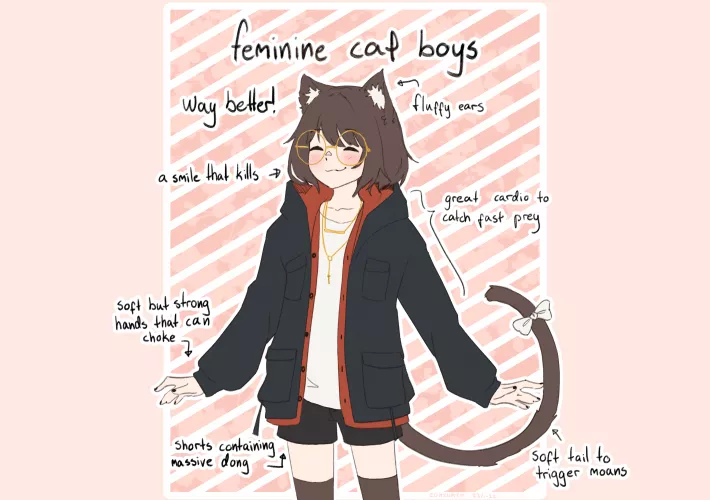 Catboy Anyatomy