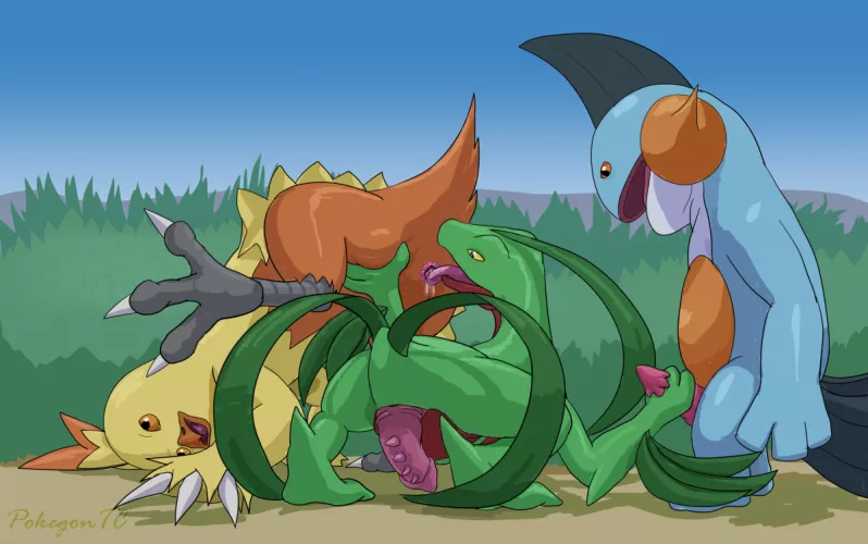 Catch them all challenge #256 - Combusken (T-Ace Juice) by Red_Gaymer