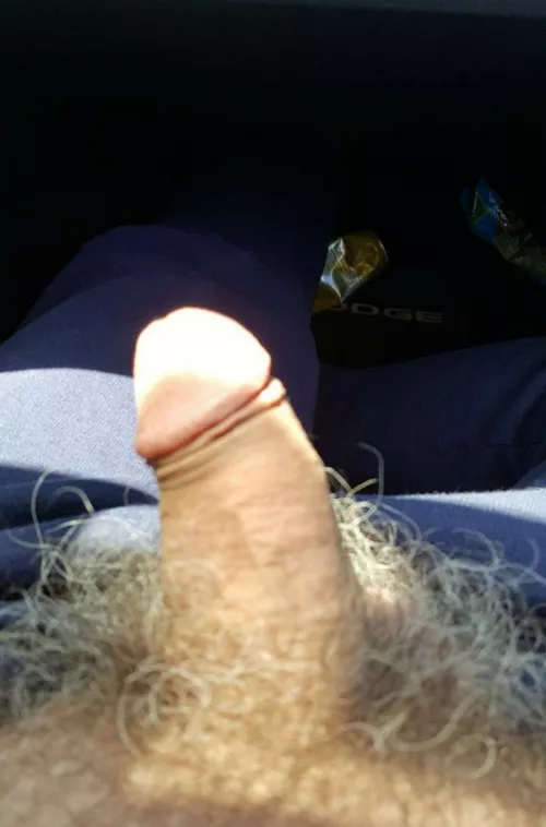 Catching the last summer rays. by Strong-Addendum-1624