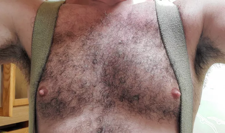 Category 3 Hairicane by hrh409