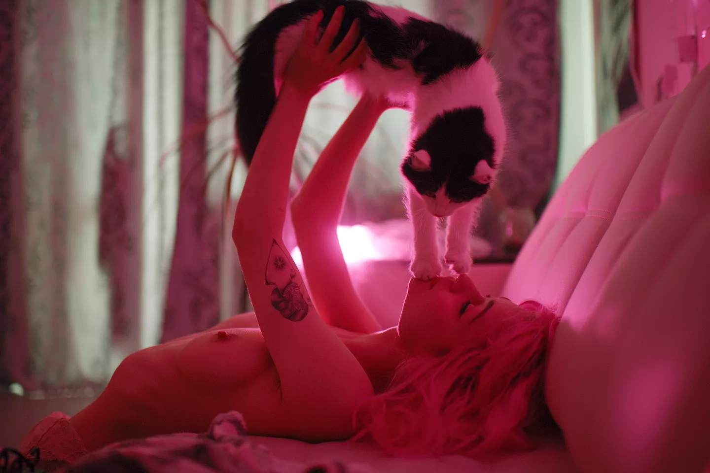 Cats are liquids posted by RuuOriVod