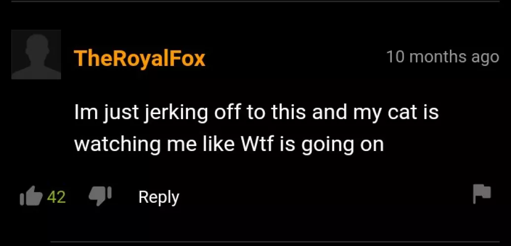 Cat's watch looking like we killed their family by Sleepless_Teen42069