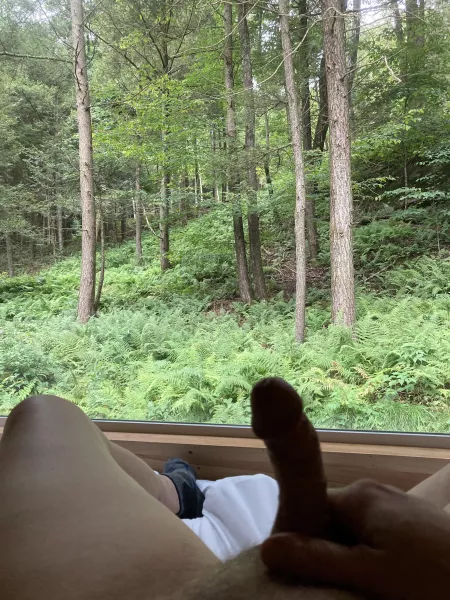 Catskills batecation by GuyNYC