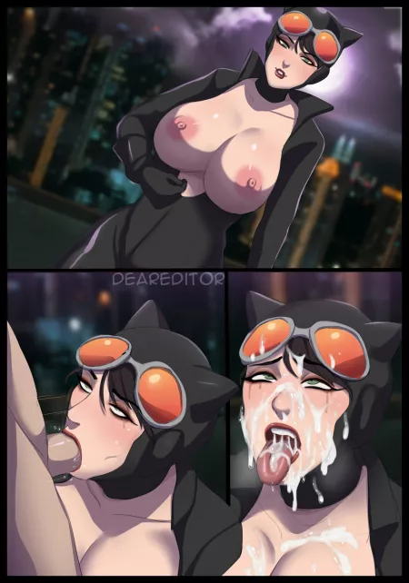 Catwoman (DearEditor) [DC] by BruhSoundEffect1