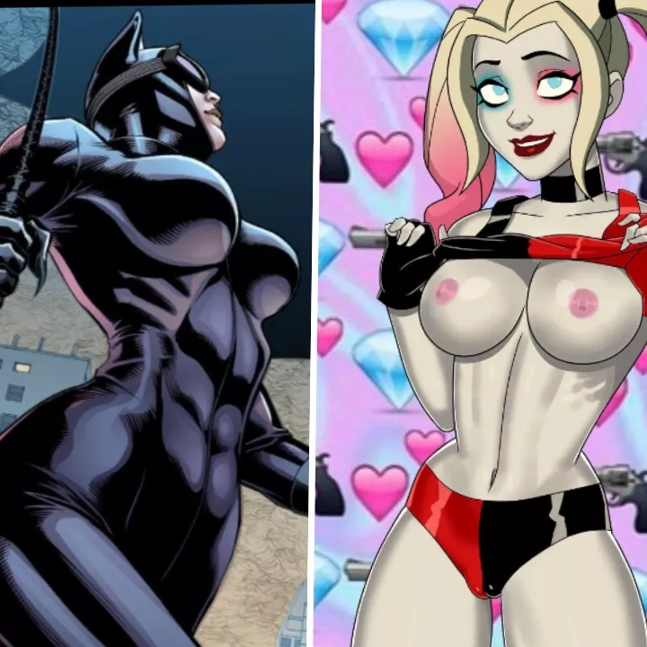 Catwoman vs harley quinn posted by wholelottahate19