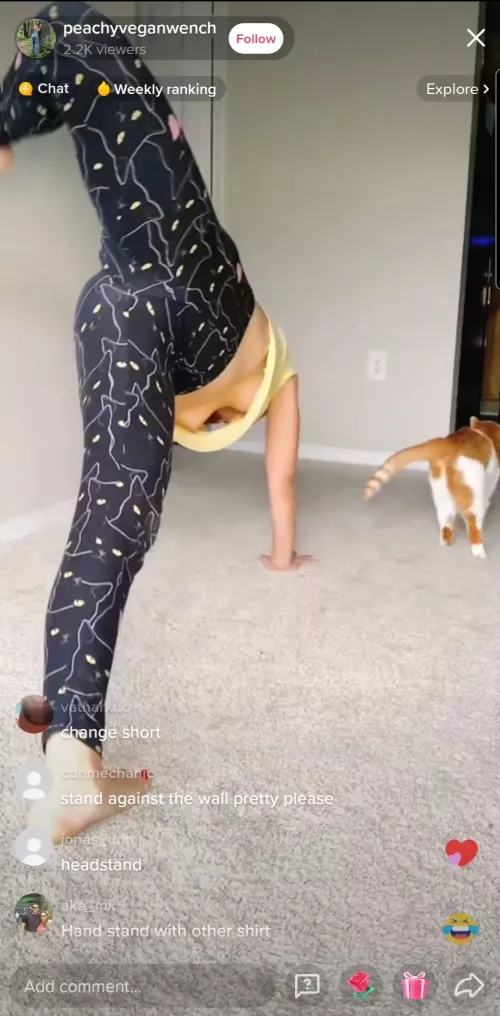 Caught before it ended (vid in comment) by crababy