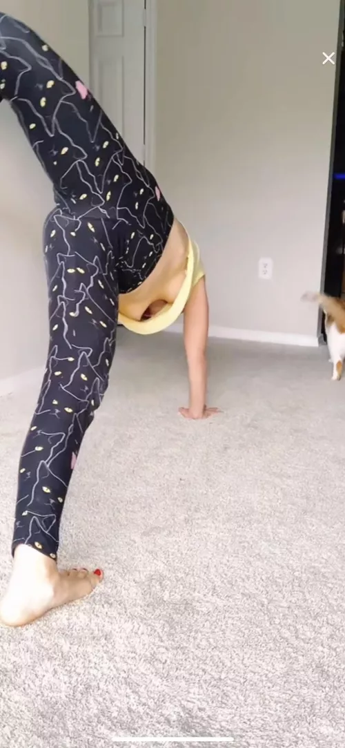 Caught it right before it ended by M_xhael